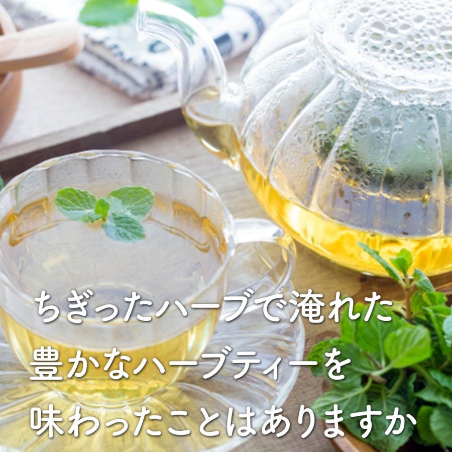 ハーブ 食用 生 ハーブティー 5パックセット（レシピ付 フレッシュ