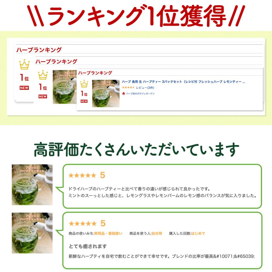 ハーブ 食用 生 ハーブティー 5パックセット（レシピ付 フレッシュ