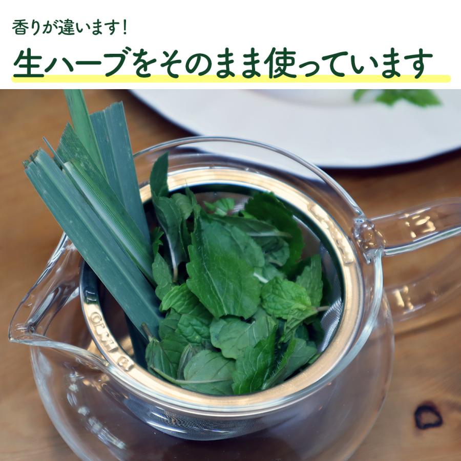 ハーブ 食用 生 ハーブティー 5パックセット（レシピ付 フレッシュハーブ レモンティー 野菜 サラダ 業務用 使い方 ギフト スパイス ...