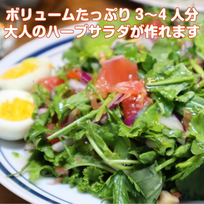 ハーブ 食用 クリスマス パーティ レシピ付 ルッコラ バジル ミント イタリアンパセリ チャービル ハーブティ ミックス 野菜 サラダ ギフト Fresh Xmas ハーブ苗のポタジェガーデン 通販 Yahoo ショッピング