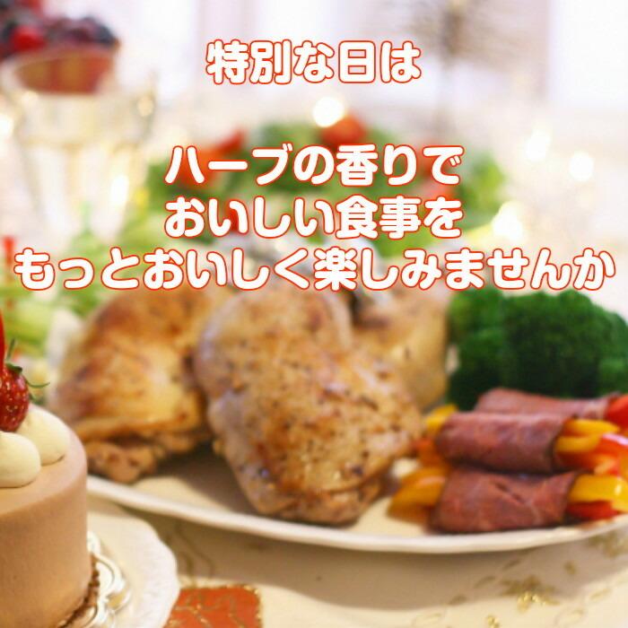 ハーブ 食用 クリスマス パーティ レシピ付 ルッコラ バジル ミント イタリアンパセリ チャービル ハーブティ ミックス 野菜 サラダ ギフト Fresh Xmas ハーブ苗のポタジェガーデン 通販 Yahoo ショッピング