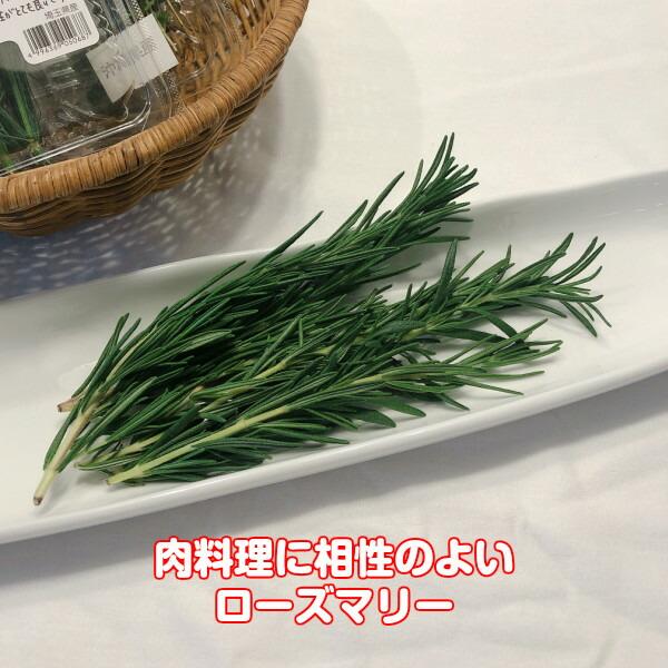 ハーブ 食用 ローズマリー1パック レシピ付 フレッシュハーブ ハーブティー ミックス 野菜 サラダ 生 業務用 使い方 ギフト スパイス Fresh002 ハーブ苗のポタジェガーデン 通販 Yahoo ショッピング