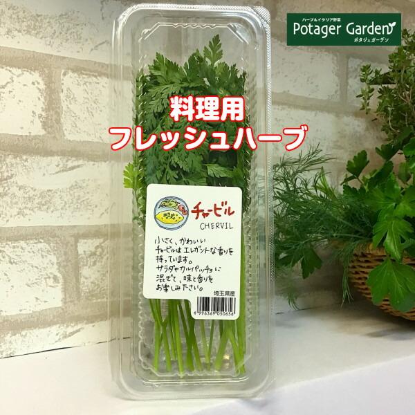 ハーブ 食用 チャービル1パック（レシピ付 フレッシュハーブ ハーブティー ミックス 野菜 サラダ 生 業務用 使い方 ギフト スパイス） | 