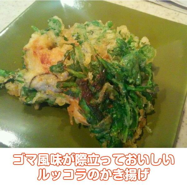 ハーブ 食用 おすすめ セット レシピ付 ルッコラ レモンバーム オレガノ モヒートミント ハーブティ ミックス 野菜 サラダ 生 スパイス Fresh007 ハーブ苗のポタジェガーデン 通販 Yahoo ショッピング