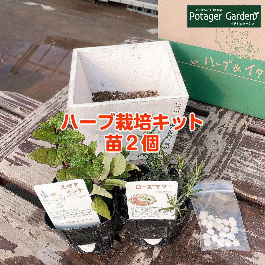 ハーブ 栽培キット 種類 栽培 苗 種 寄せ植え 初心者 花 マスク ハーブティー ハーブガーデン 送料無料 ナチュラルウッド スクエアs 白 Herb Kit28 Sai ハーブ苗のポタジェガーデン 通販 Yahoo ショッピング
