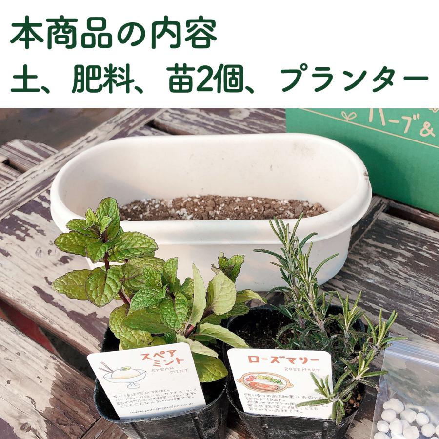 ハーブ 栽培キット（種類 栽培 苗 画像 種 寄せ植え 初心者 花 ハーブ