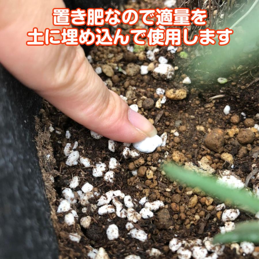 ハーブ 苗 専門店 ハーブ専用肥料 Hiryo ハーブ苗のポタジェガーデン 通販 Yahoo ショッピング