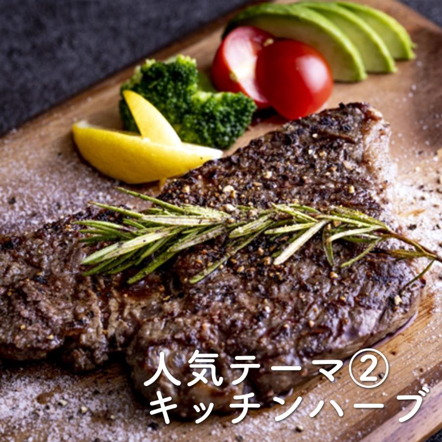 ハーブ 栽培キット ナチュラルウッド 四角 3個（種類 栽培 苗 種 寄せ