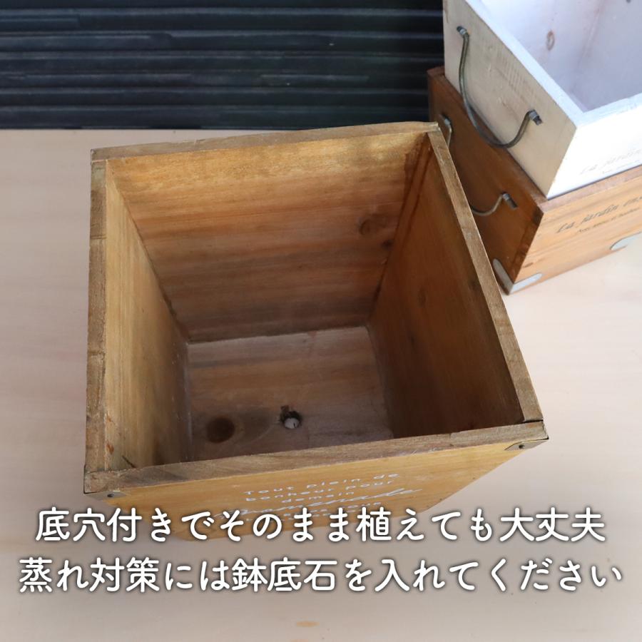 ハーブ 栽培キット ナチュラルウッド 四角 3個（種類 栽培 苗 種 寄せ