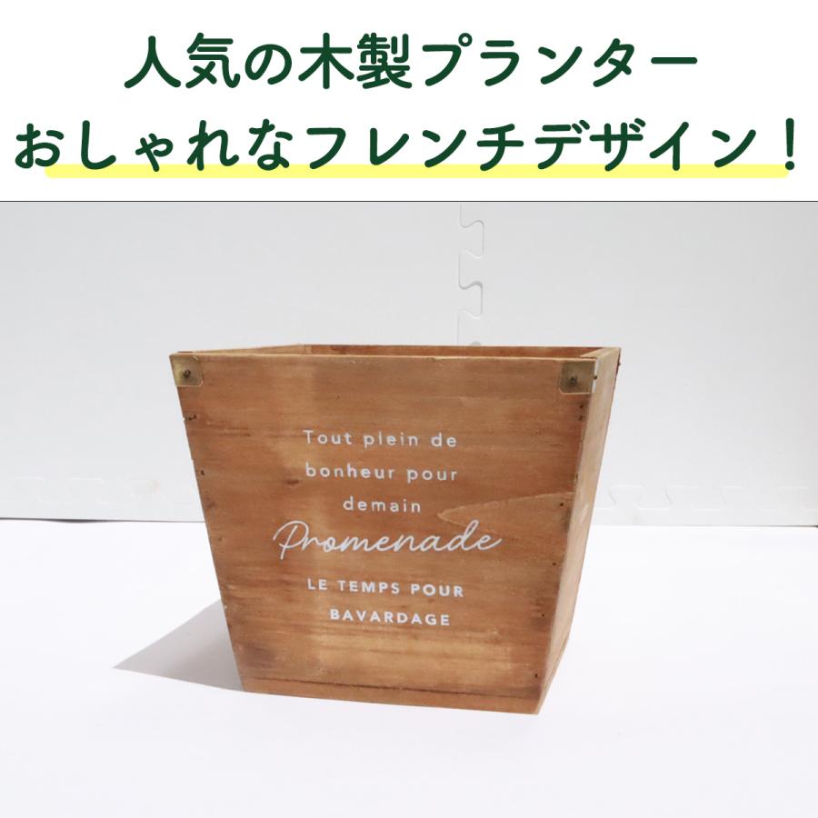 ハーブ 栽培キット ナチュラルウッド 四角 3個（種類 栽培 苗 種 寄せ