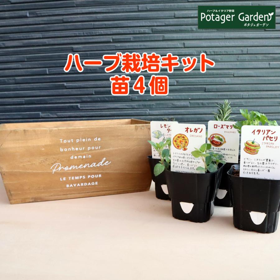 ハーブ 栽培キット ナチュラルウッド 長方形 4個 種類 栽培 苗 種 寄せ植え 初心者 花 ハーブティー ハーブガーデン 送料無料 Kit 4709 A Br ハーブ苗のポタジェガーデン 通販 Yahoo ショッピング