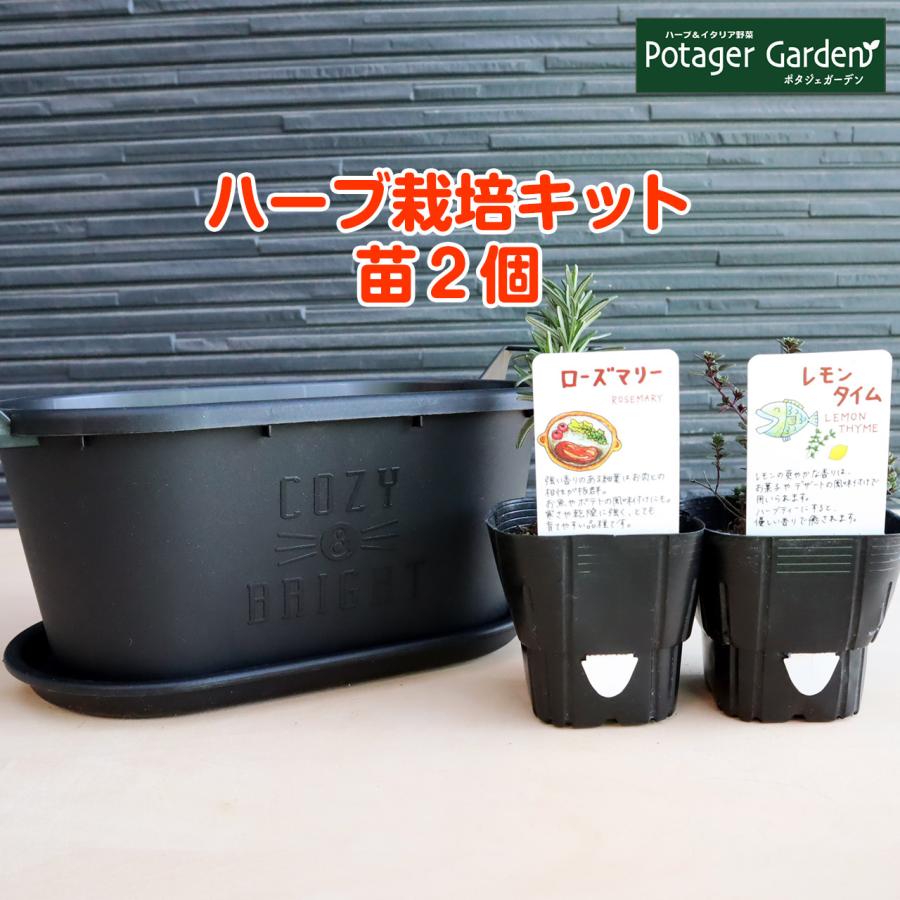 ハーブ 栽培キット グロウコンテナ18 黒 苗2個 種類 栽培 苗 種 寄せ植え 初心者 花 ハーブティー ハーブガーデン 送料無料 Kit Grow18 Bl ハーブ苗のポタジェガーデン 通販 Yahoo ショッピング