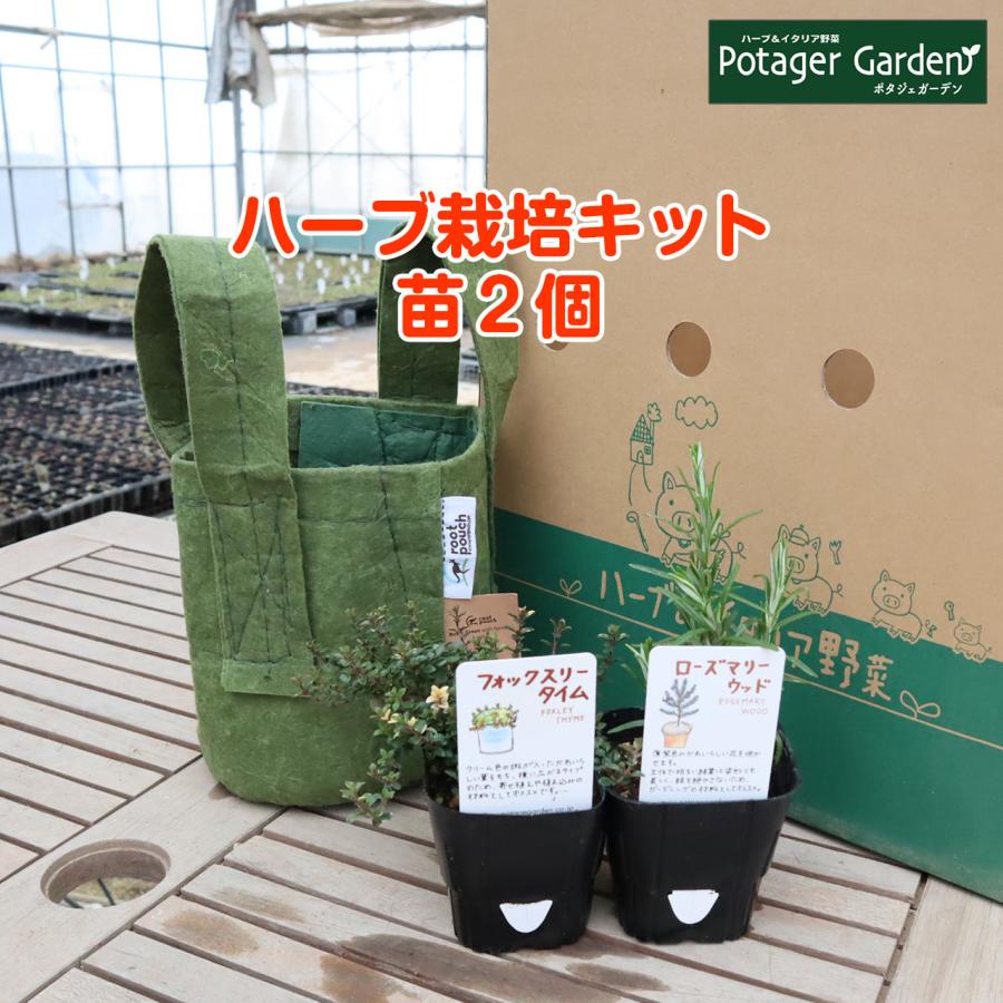 ハーブ 栽培キット ルーツポーチ 緑 苗2個 種類 栽培 苗 種 寄せ植え 初心者 花 ハーブティー ハーブガーデン 送料無料 Kit Rp Bg900 01h ハーブ苗のポタジェガーデン 通販 Yahoo ショッピング
