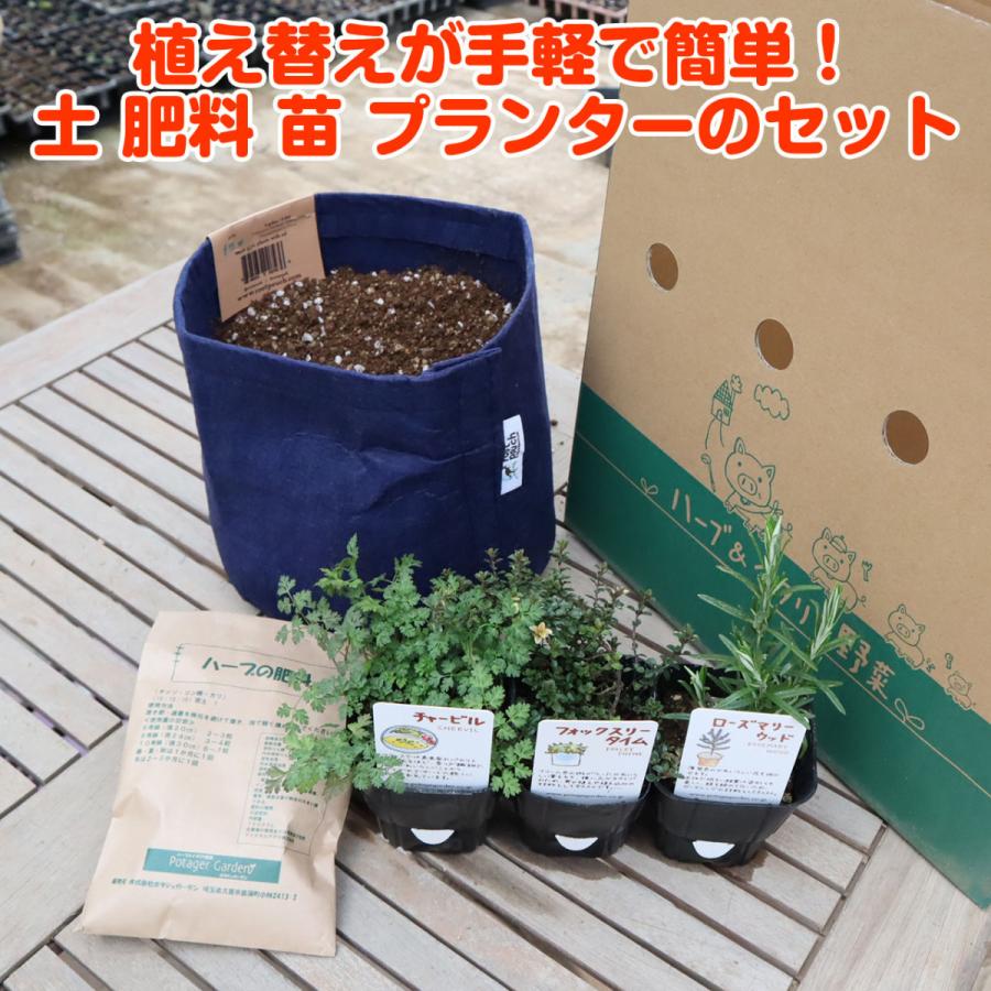 ハーブ 栽培キット ルーツポーチ 紺 苗2個 苗 セット 寄せ植え 観葉植物 送料無料 バジル ローズマリー ミント 花苗 苗木 家庭菜園 土 Kit Rp Bn900 01 ハーブ苗のポタジェガーデン 通販 Yahoo ショッピング