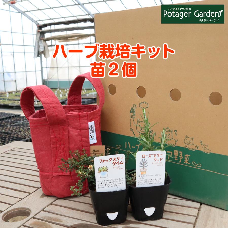 ハーブ 栽培キット ルーツポーチ 赤 苗2個 種類 栽培 苗 種 寄せ植え 初心者 花 ハーブティー ハーブガーデン 送料無料 Kit Rp Br900 01h ハーブ苗のポタジェガーデン 通販 Yahoo ショッピング
