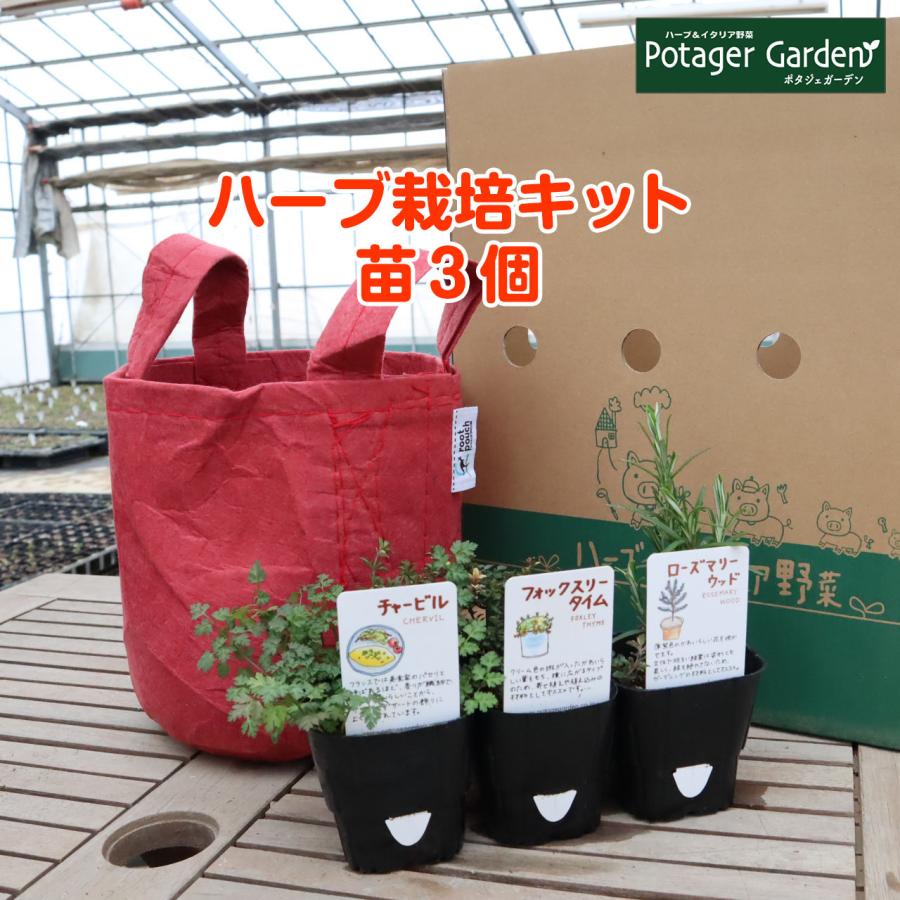 ハーブ 栽培キット ルーツポーチ 赤 苗3個 種類 栽培 苗 種 寄せ植え 初心者 花 ハーブティー ハーブガーデン 送料無料 Kit Rp Br900 02h ハーブ苗のポタジェガーデン 通販 Yahoo ショッピング