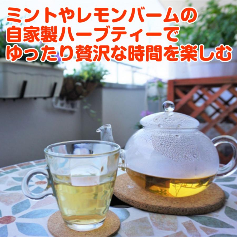 市場 ハーブ 寄せ植え 苗 ハーブティー La 木製プランター 栽培キット ハーブガーデン 観葉植物 茶 セット かわいい Jardin 苗2個