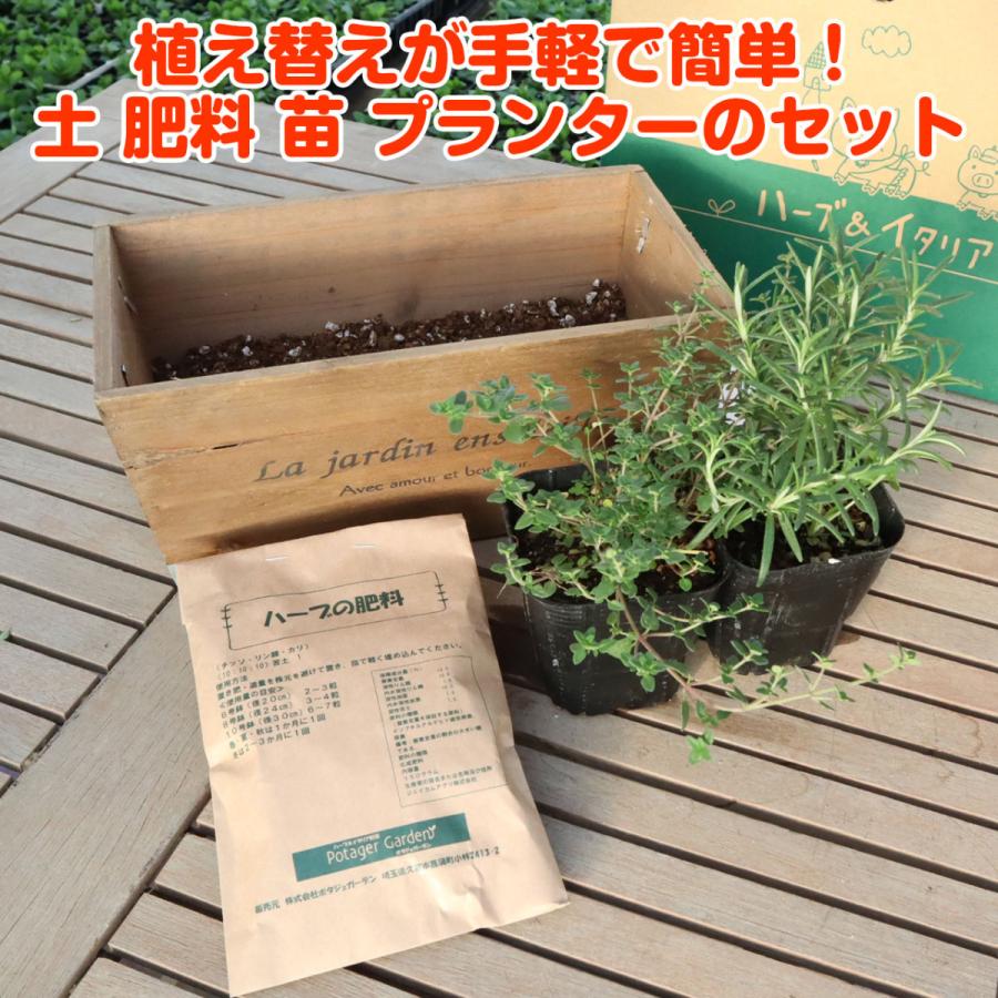 ハーブ 栽培キット 木製プランター 苗2個 種類 栽培 苗 種 寄せ植え 初心者 花 ハーブティー ハーブガーデン 送料無料 Kit Wd 13r ハーブ苗のポタジェガーデン 通販 Yahoo ショッピング