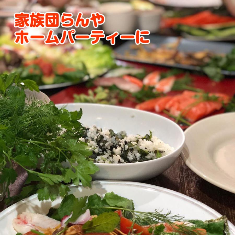 ハーブ 栽培キット 木製プランター 苗2個 種類 栽培 苗 種 寄せ植え 初心者 花 ハーブティー ハーブガーデン 送料無料 Kit Wd 13r ハーブ苗のポタジェガーデン 通販 Yahoo ショッピング