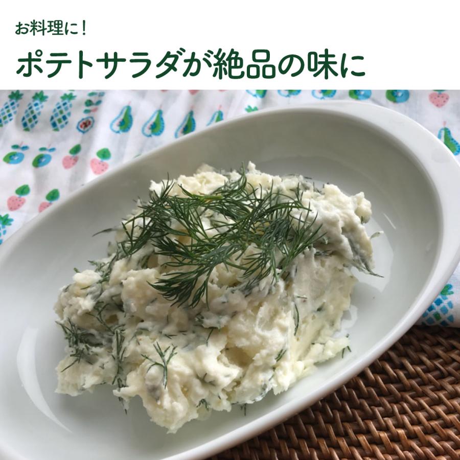 ハーブ 苗 ディル（種類 栽培 ハーブガーデン ハーブティー 花 ガーデニング 栽培キット） |  | 07