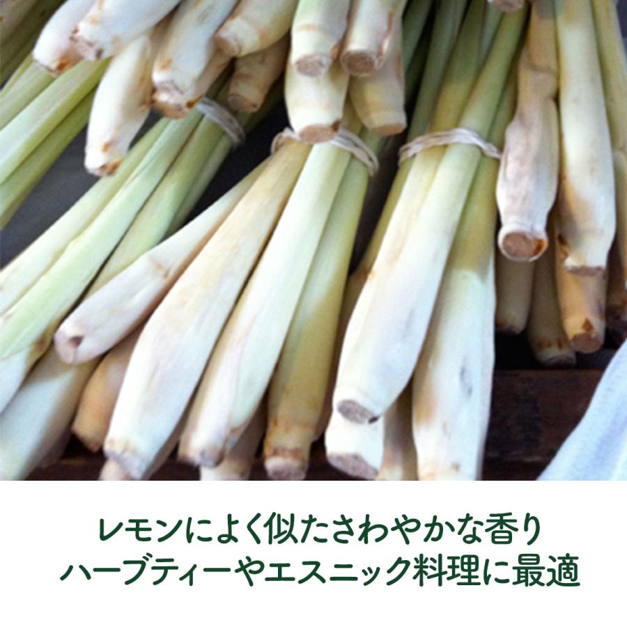 ハーブ 苗 レモングラス（種類 栽培 ハーブガーデン ハーブティー 花