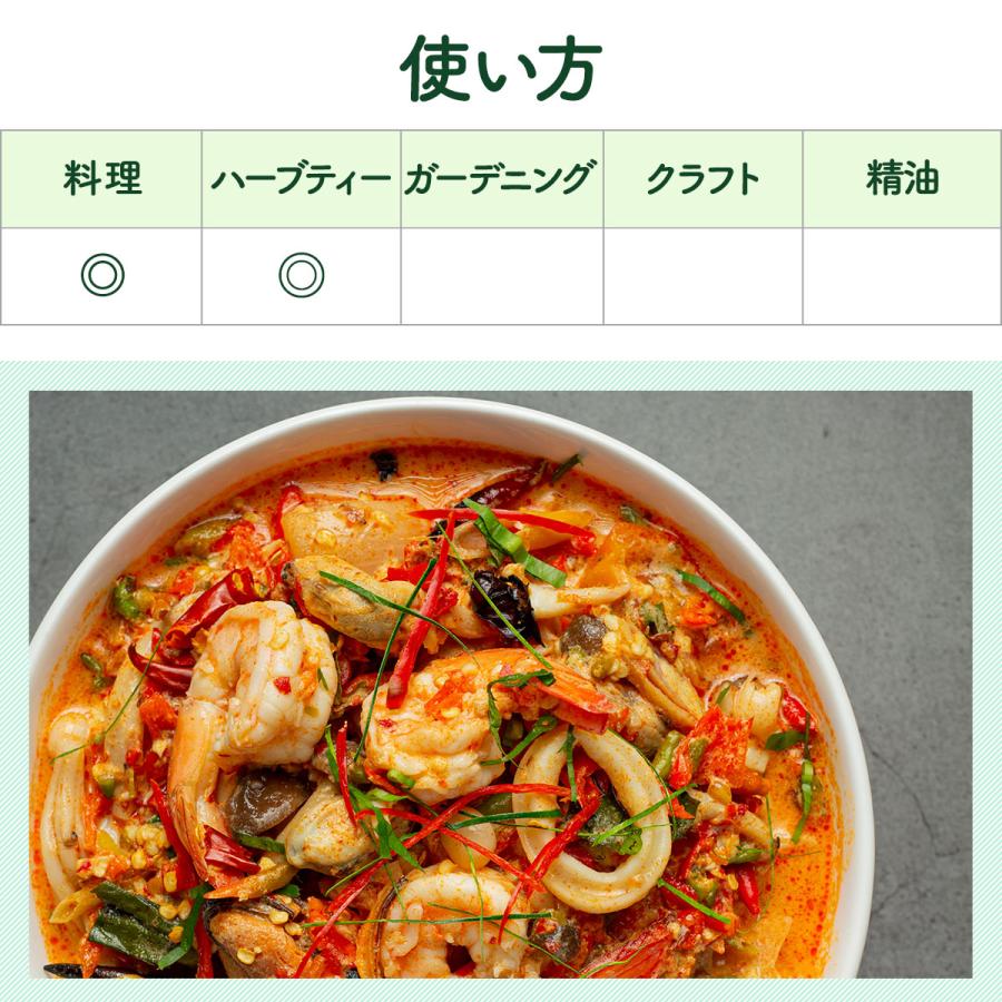 ハーブ 苗 レモングラス（種類 栽培 ハーブガーデン ハーブティー 花