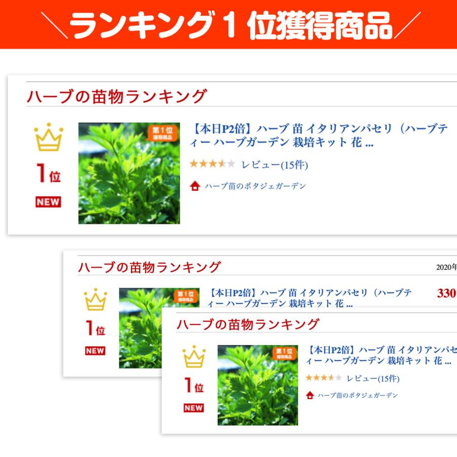 ハーブ 苗 イタリアンパセリ 種類 栽培 ハーブガーデン ハーブティー 花 ガーデニング 栽培キット Kitchen Pasley1 ハーブ苗のポタジェガーデン 通販 Yahoo ショッピング