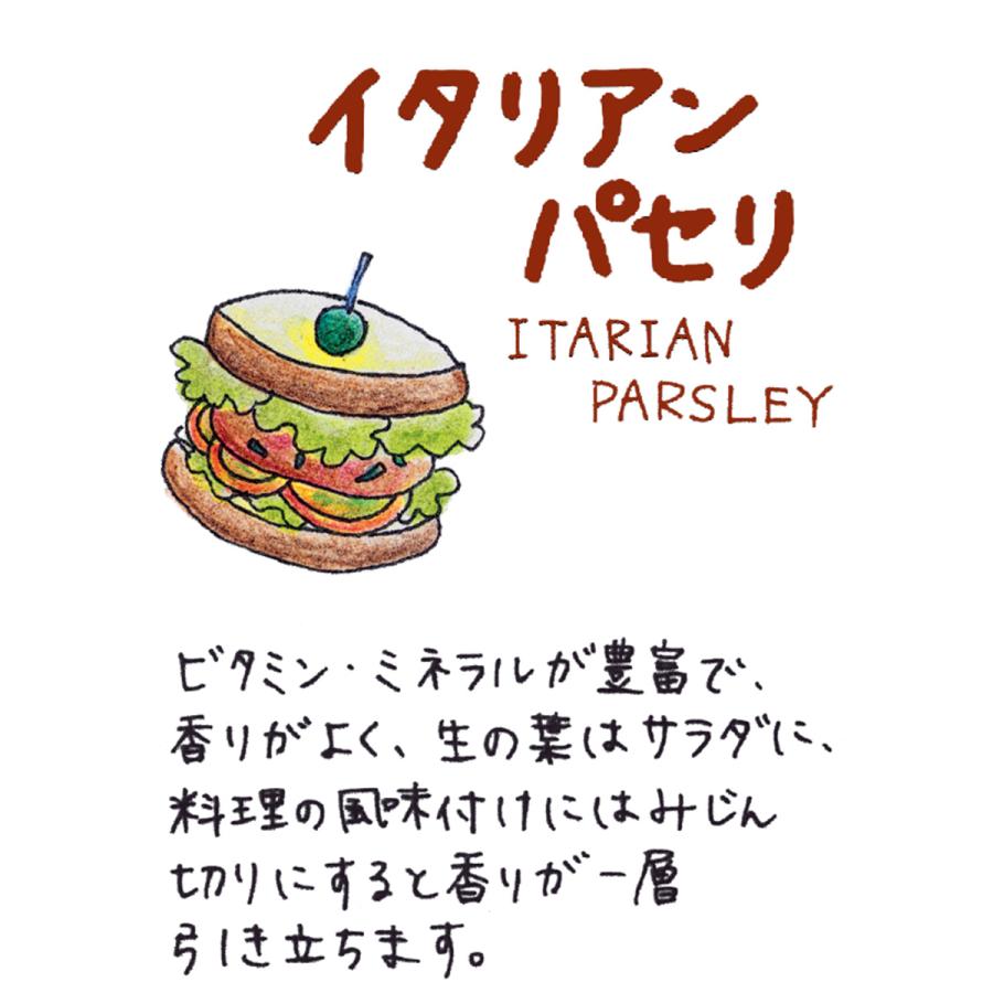 ハーブ 苗 イタリアンパセリ 種類 栽培 ハーブガーデン ハーブティー 花 ガーデニング 栽培キット Kitchen Pasley1 ハーブ苗のポタジェガーデン 通販 Yahoo ショッピング