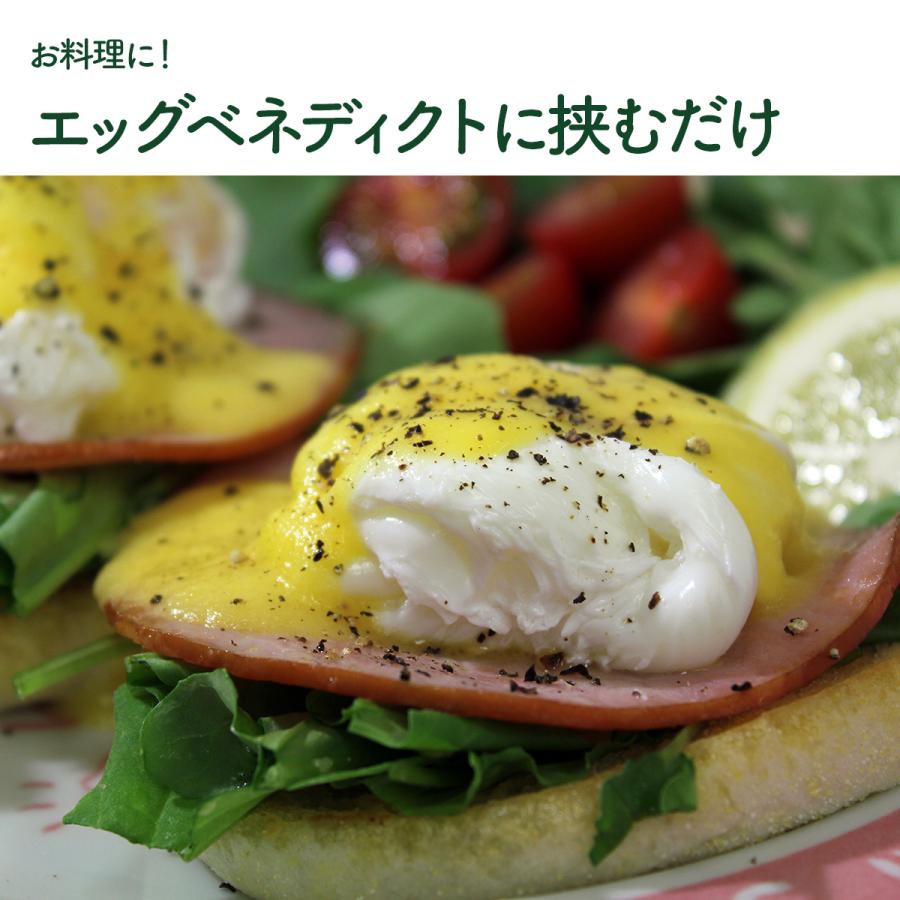 ハーブ 苗 ルッコラ ロケットサラダ（種類 栽培 ハーブガーデン ハーブティー 花 ガーデニング 栽培キット） |  | 07