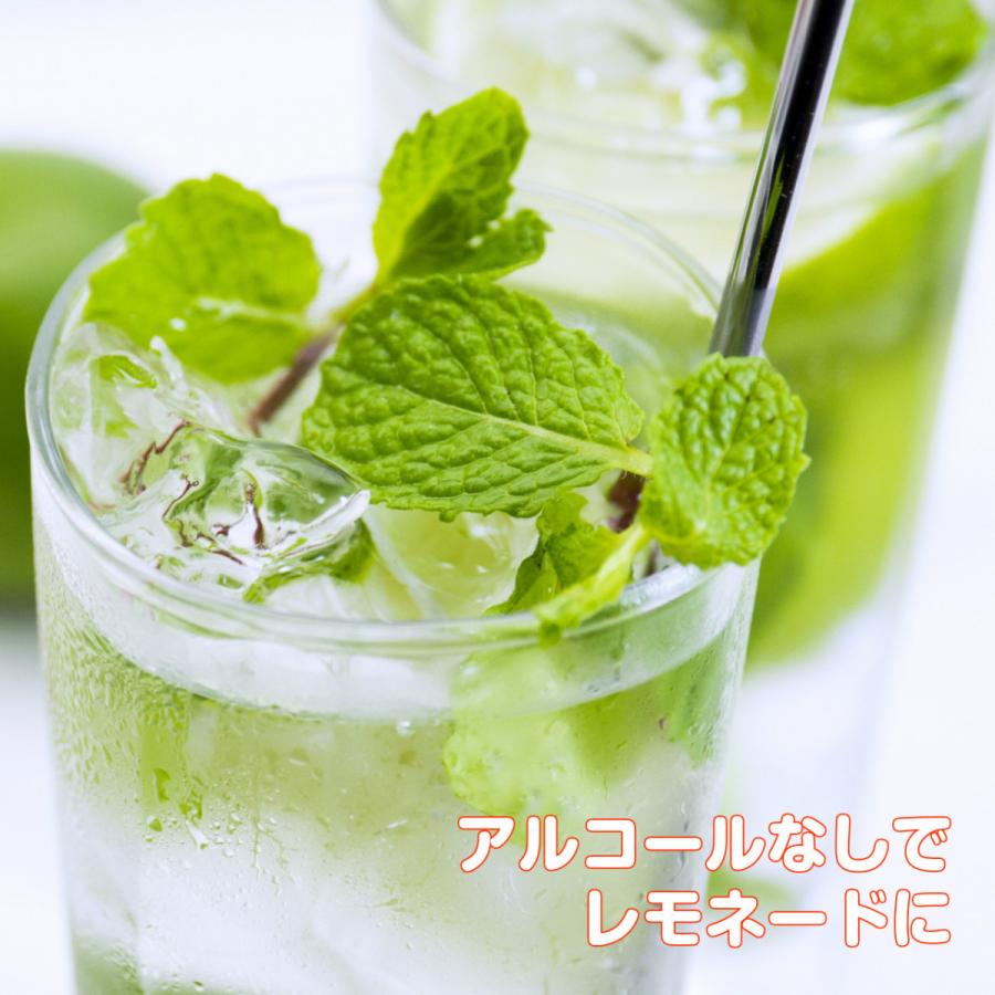 ハーブ 苗 モヒート ミント カラープランター入 イエルバブエナ 送料無料 寄せ植え 栽培キット ハーブティー ガーデニング 観葉植物 モヒート カラー 鉢 Mint Big1 ハーブ苗のポタジェガーデン 通販 Yahoo ショッピング