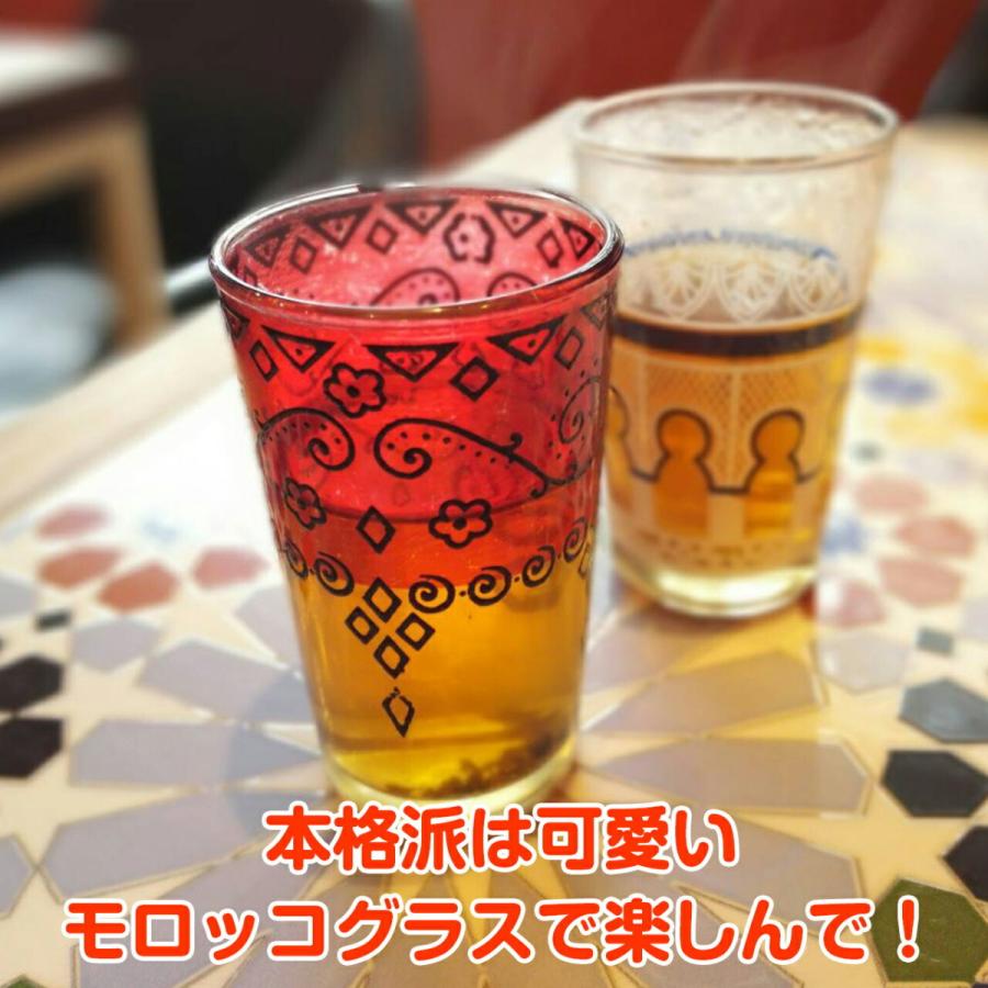 ハーブ 苗 モロッコミント ミントティー 種類 栽培 ハーブガーデン ミントオイル 育て方 苗木 果樹 栽培キット 栽培セット Mint Morocco ハーブ苗のポタジェガーデン 通販 Yahoo ショッピング