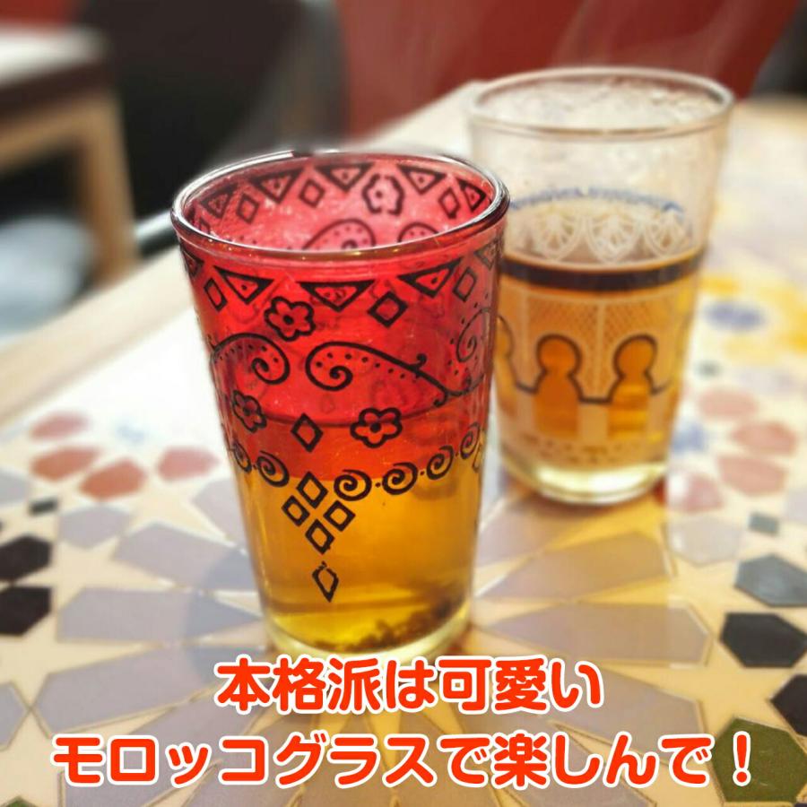ハーブ 苗 モロッコミント（ミントティー 種類 栽培 ハーブガーデン 