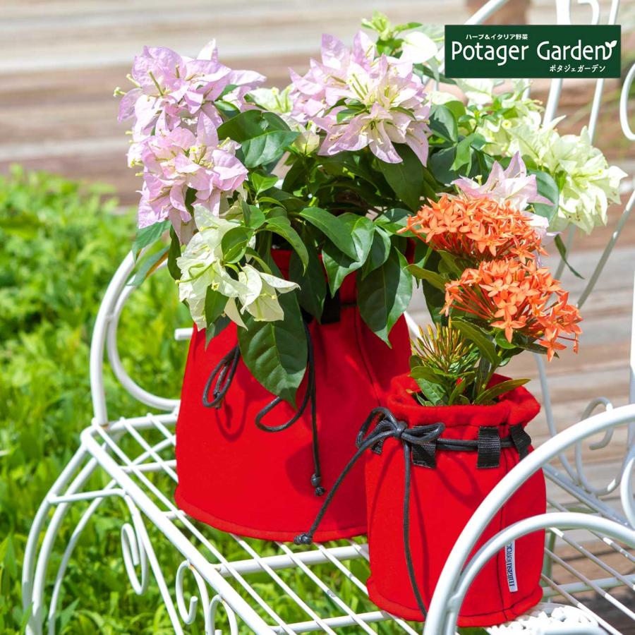 フェルポット S タカショー プランター 植木鉢 鉢 おしゃれ 家庭菜園 大型 サイズ 木製 楕円形 Mit P01sr ハーブ苗のポタジェガーデン 通販 Yahoo ショッピング