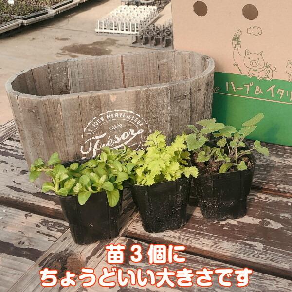 プランター 植木鉢 鉢 おしゃれ 木製 楕円形 大型 スタンド 野菜 ラック オシャレ カバー 屋外 室内 菜園 長方形 ウッドケグオーバルプランター ブラウン のみ Mrt 5418br ハーブ苗のポタジェガーデン 通販 Yahoo ショッピング