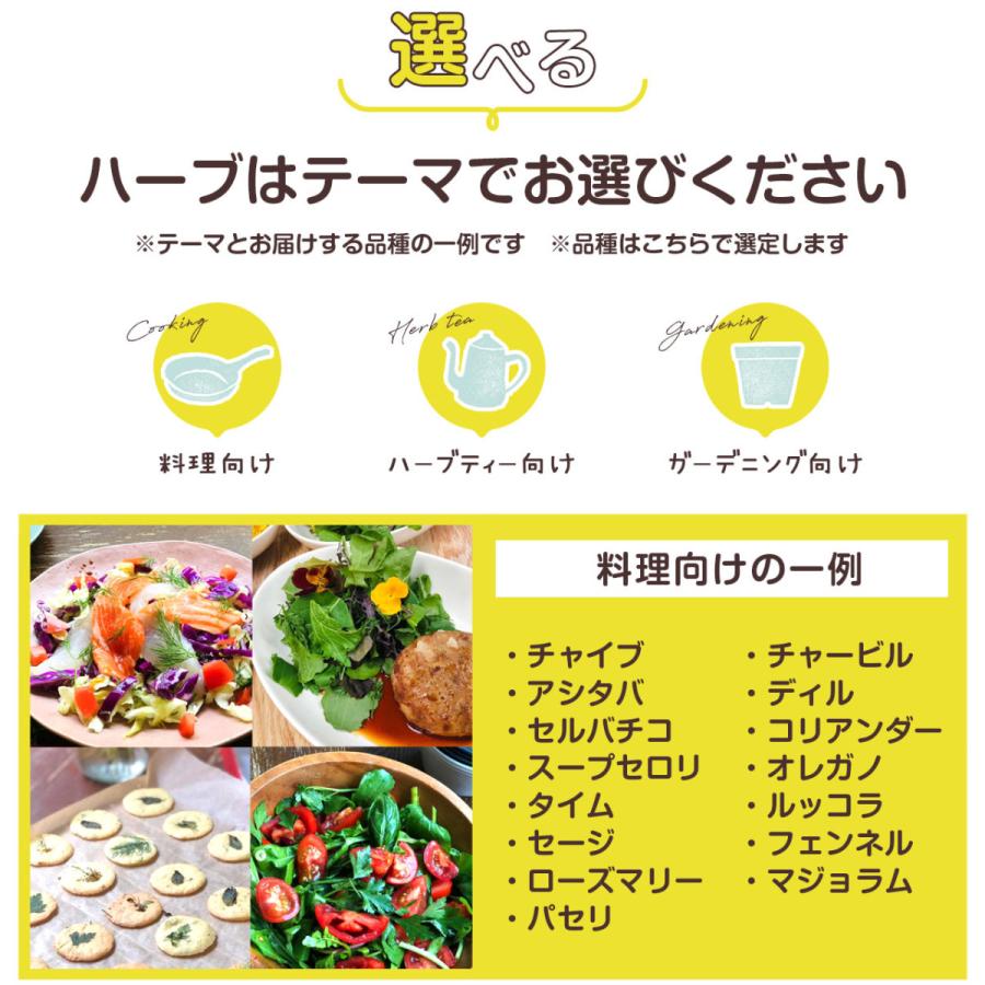 ハーブ 苗 5個 おまかせ 種類 栽培 ハーブティー ハーブガーデン 花 ガーデニング 苗木 果樹 栽培キット 送料無料 Osusume 5 ハーブ苗のポタジェガーデン 通販 Yahoo ショッピング