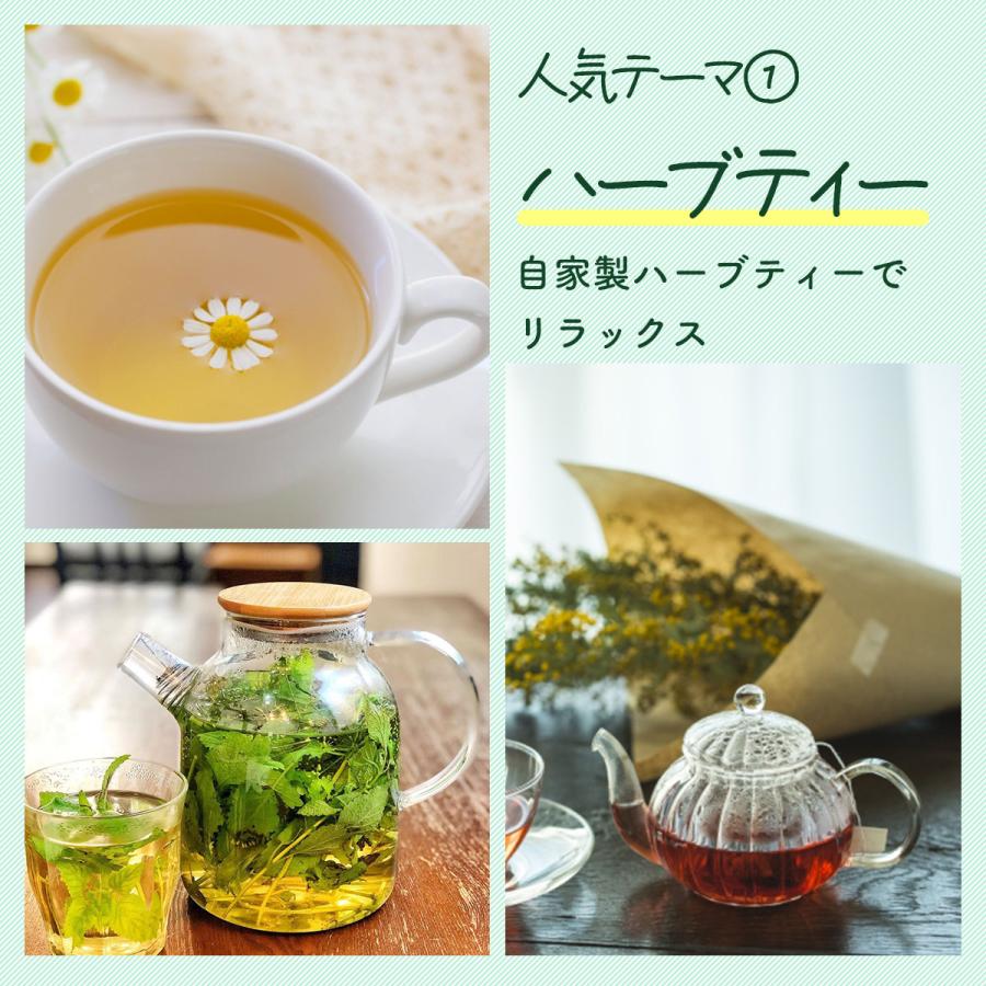 ハーブ 苗 10個（おまかせ 種類 栽培 ハーブティー ハーブガーデン 花