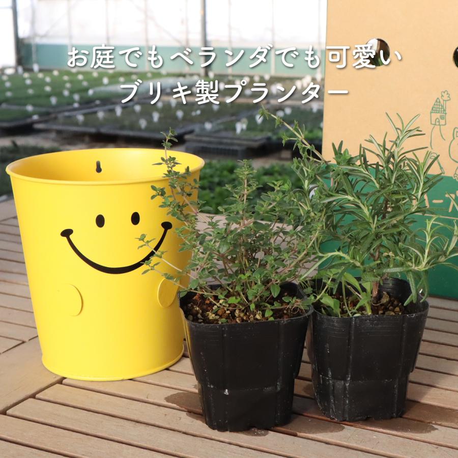 プランター 植木鉢 鉢 おしゃれ（スマイル 黄 ピンク 家庭菜園
