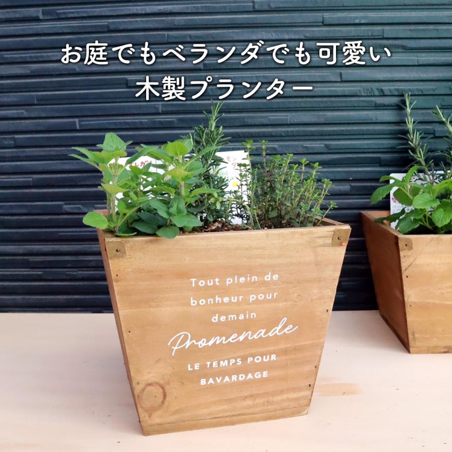プランター 植木鉢 鉢 おしゃれ（ナチュラルウッド 四角 家庭菜園