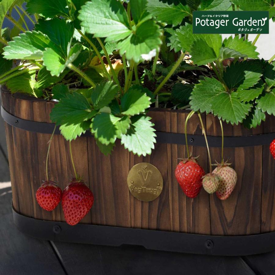ウッドオーバルプランター M タカショー プランター 植木鉢 鉢 おしゃれ 家庭菜園 大型 木製 公式