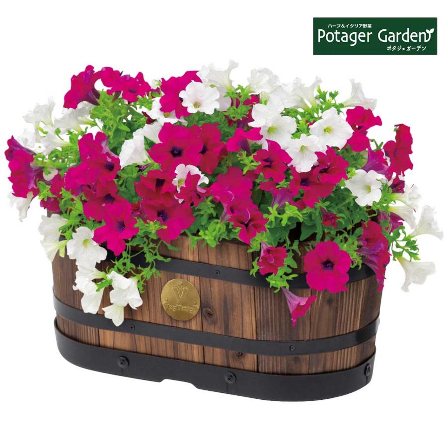 ウッドオーバルプランター S タカショー プランター 植木鉢 鉢 おしゃれ 家庭菜園 大型 木製 Ppw 06s ハーブ苗のポタジェガーデン 通販 Yahoo ショッピング