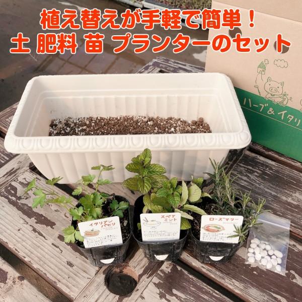 ハーブ 栽培キット 種類 栽培 苗 種 寄せ植え 初心者 花 ハーブティー ハーブガーデン 送料無料 レリーフプランター 白 Set w ハーブ苗のポタジェガーデン 通販 Yahoo ショッピング