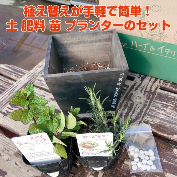 ハーブ 栽培キット 種類 栽培 苗 画像 種 寄せ植え 初心者 花 マスク ハーブティー ハーブガーデン 送料無料 ナチュラルウッドプランタースクエアs 茶 Set bsai ハーブ苗のポタジェガーデン 通販 Yahoo ショッピング