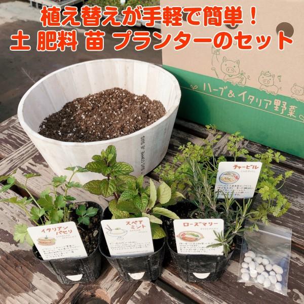 ハーブ 栽培キット 種類 栽培 苗 画像 種 寄せ植え 初心者 花 ハーブティー ハーブガーデン 送料無料 ナチュラルウッドプランターサークルl Set w ハーブ苗のポタジェガーデン 通販 Yahoo ショッピング