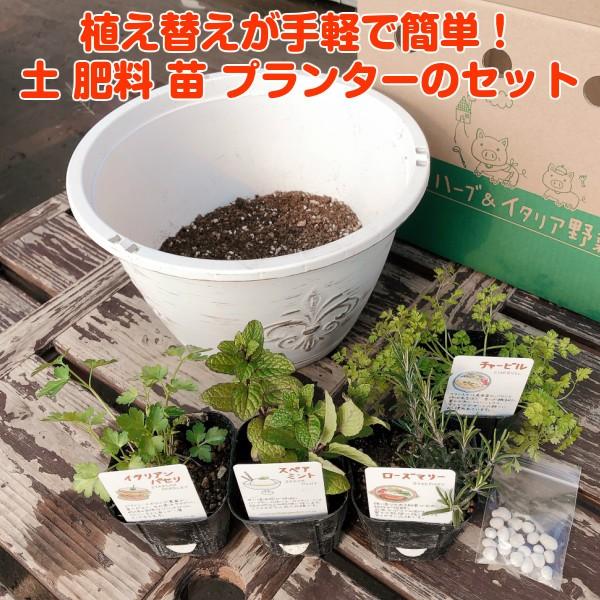 ハーブ 栽培キット 種類 栽培 苗 画像 寄せ植え 初心者 花 ハーブティー ハーブガーデン 送料無料 アンティークライトプラワンポイント吊り下げサークル 白 Set w ハーブ苗のポタジェガーデン 通販 Yahoo ショッピング