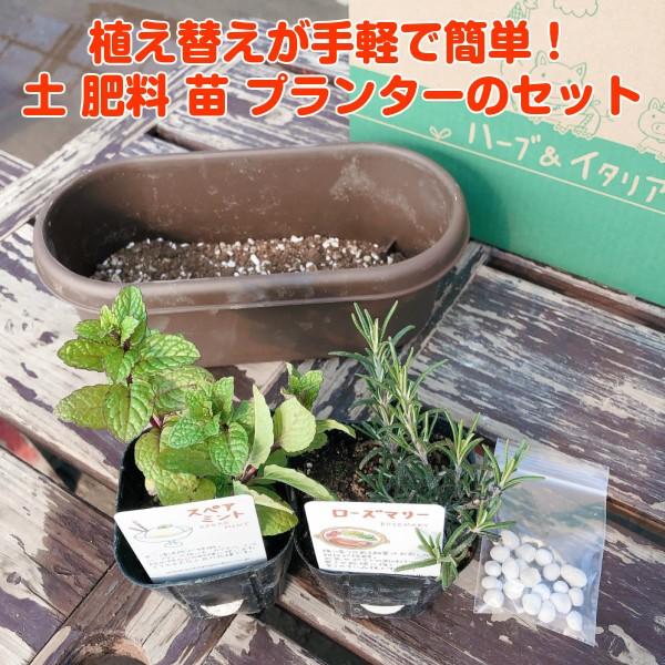 ハーブ 栽培キット 種類 栽培 苗 画像 種 寄せ植え 初心者 花 ハーブティー ハーブガーデン 送料無料 プラ製プランター 茶 Set Casual ハーブ苗のポタジェガーデン 通販 Yahoo ショッピング