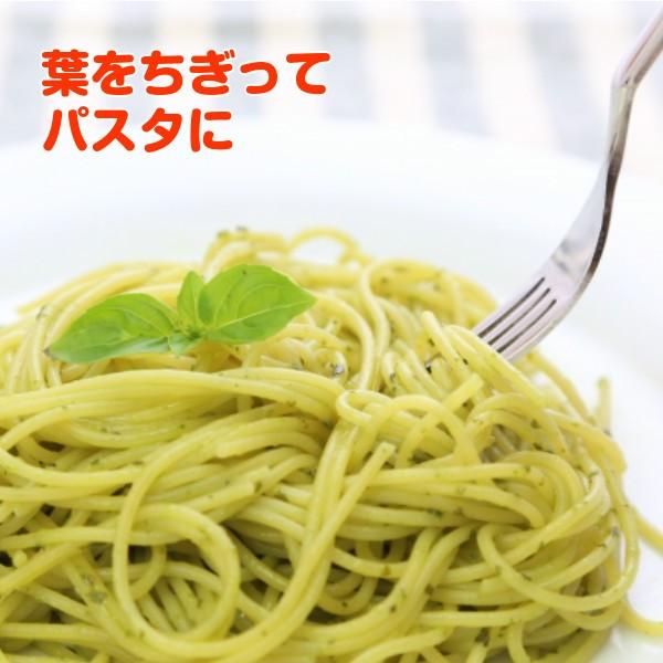 ハーブ 栽培キット 種類 栽培 苗 画像 種 寄せ植え 初心者 花 ハーブティー ハーブガーデン 送料無料 プラ製プランター 茶 Set Casual ハーブ苗のポタジェガーデン 通販 Yahoo ショッピング