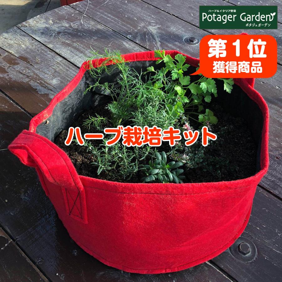 ハーブ 栽培キット プランター赤 苗 種類 栽培 ハーブティー ハーブガーデン ミント バジル ローズマリー 育て方 苗木 果樹 おしゃれ Set Felt Planter R ハーブ苗のポタジェガーデン 通販 Yahoo ショッピング