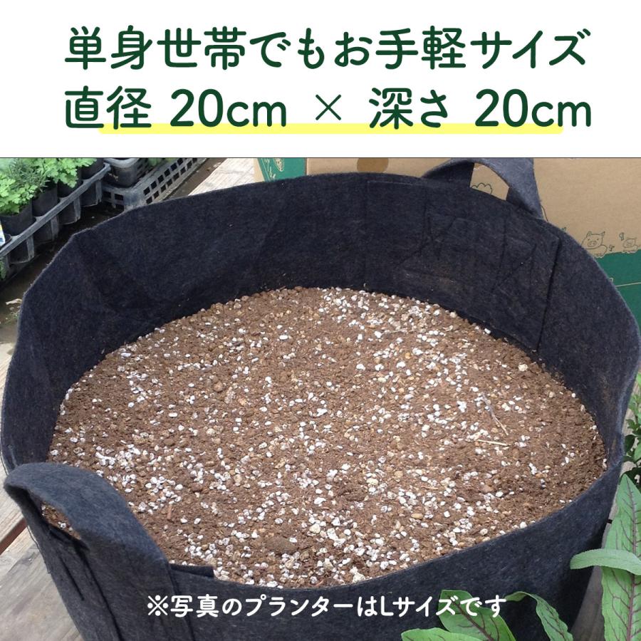 ハーブ 栽培キット 苗 3個 フェルト黒 20cm（苗 種類 栽培 種 寄せ植え