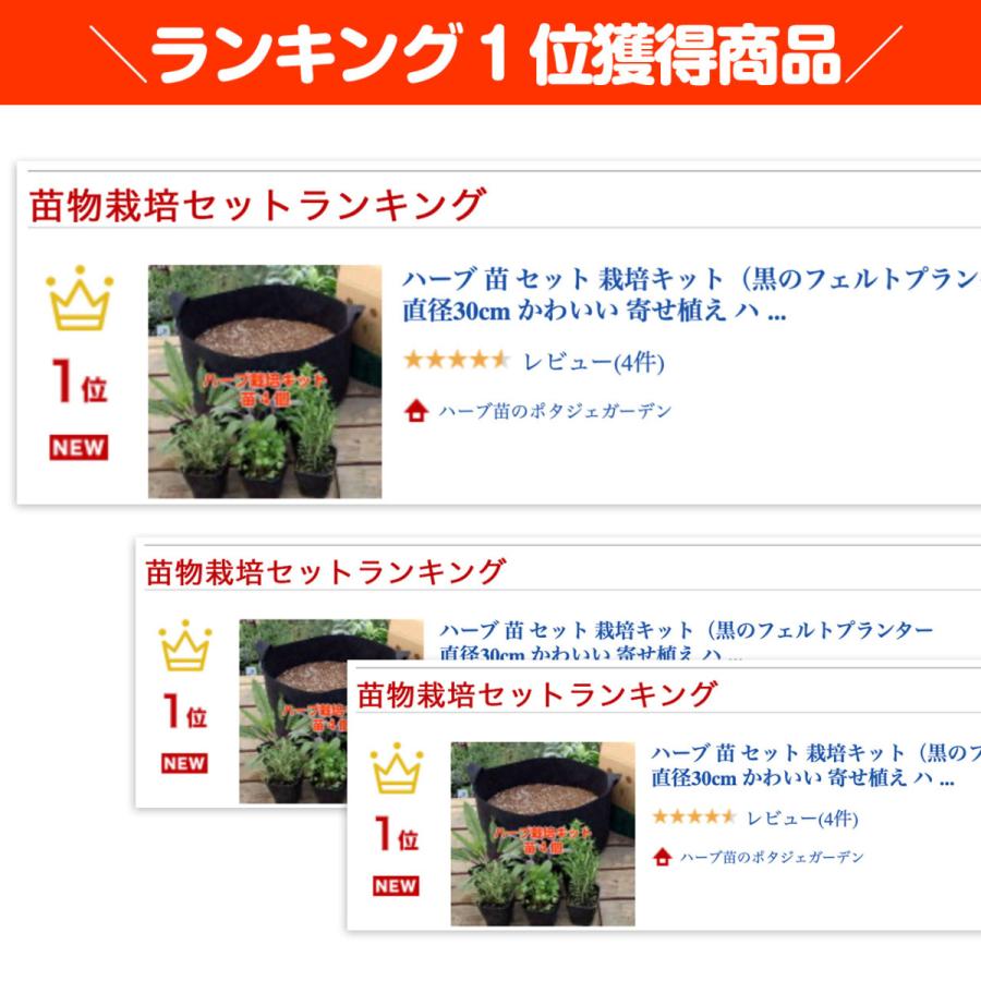ハーブ 栽培キット 苗 4個 フェルト黒 30cm 苗 種類 栽培 ハーブティー ハーブガーデン ミント バジル ローズマリー 育て方 苗木 おしゃれ Set Nae30 ハーブ苗のポタジェガーデン 通販 Yahoo ショッピング