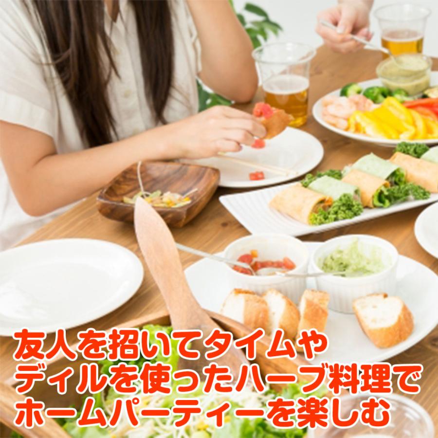 ハーブ 栽培キット 苗なし フェルトプランター Sサイズ 寄せ植え 観葉植物 送料無料 花苗 苗木 家庭菜園 鉢植え 土 Set Planter S ハーブ苗のポタジェガーデン 通販 Yahoo ショッピング